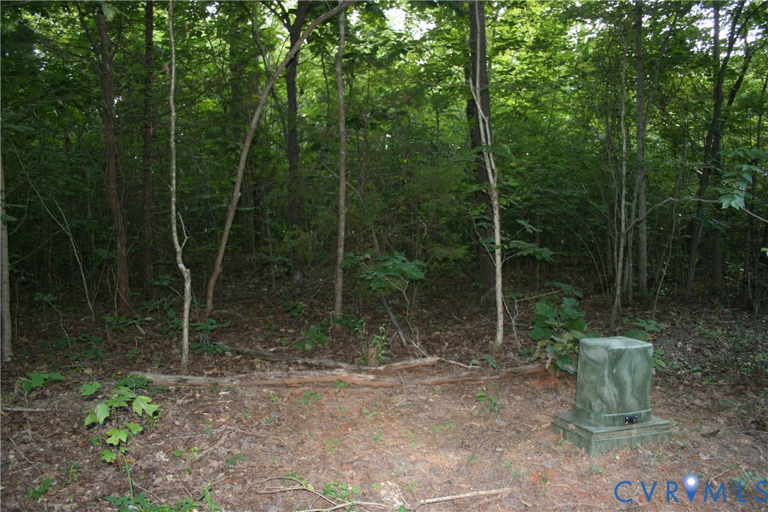 0 Pace Road Goochland, VA 23063 - Photo 7 of 11