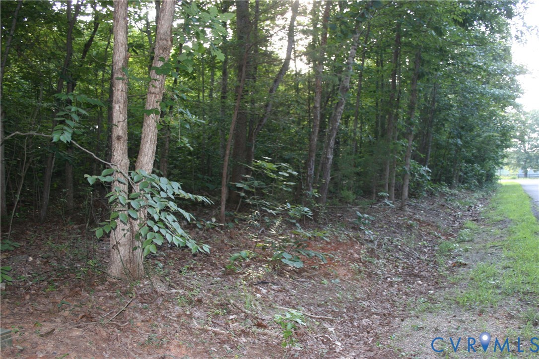 0 Pace Road Goochland, VA 23063 - Photo 8 of 11 a view of a forest that has large trees