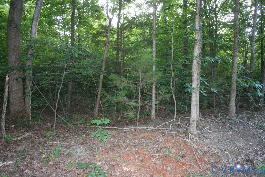 0 Pace Road Goochland, VA 23063 - Photo 9 of 11 a view of a forest