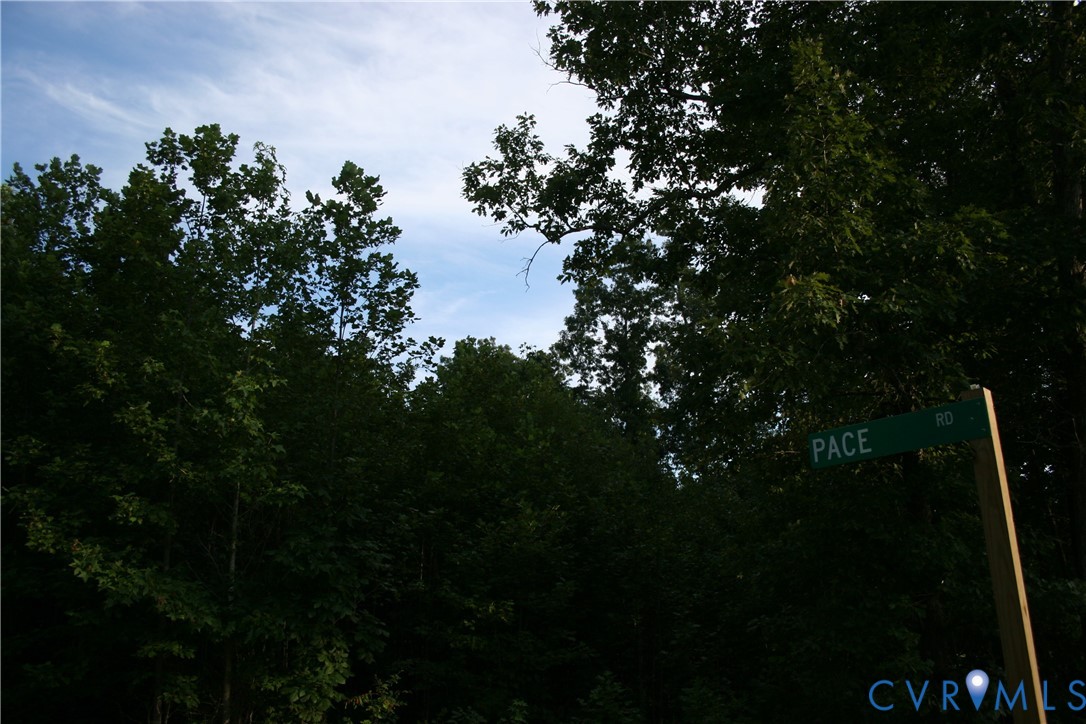 0 Pace Road Goochland, VA 23063 - Photo 10 of 11