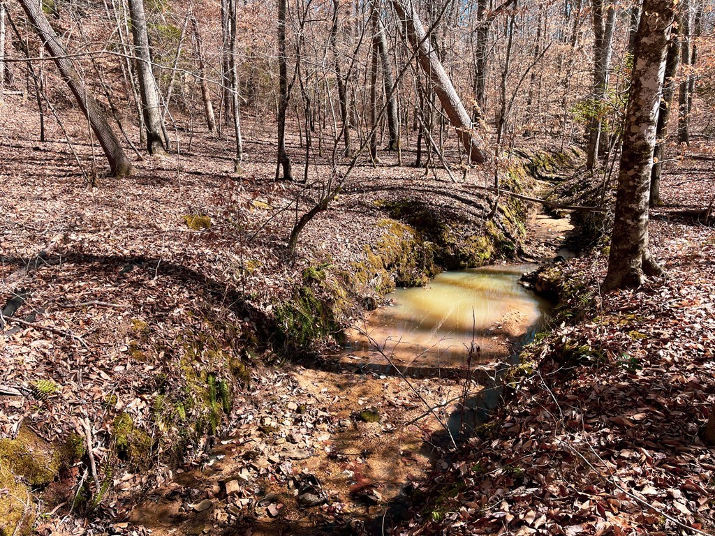 0 Tom Young Bridge Road Iva, SC 29655 - Photo 4 of 9