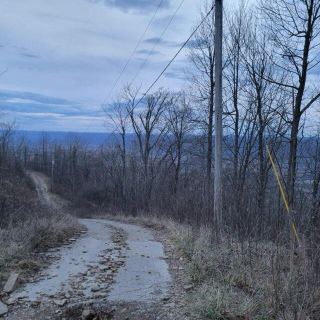 0 Little Bedford Rd Spring Pikeville, TN 37367 - Photo 2 of 14
