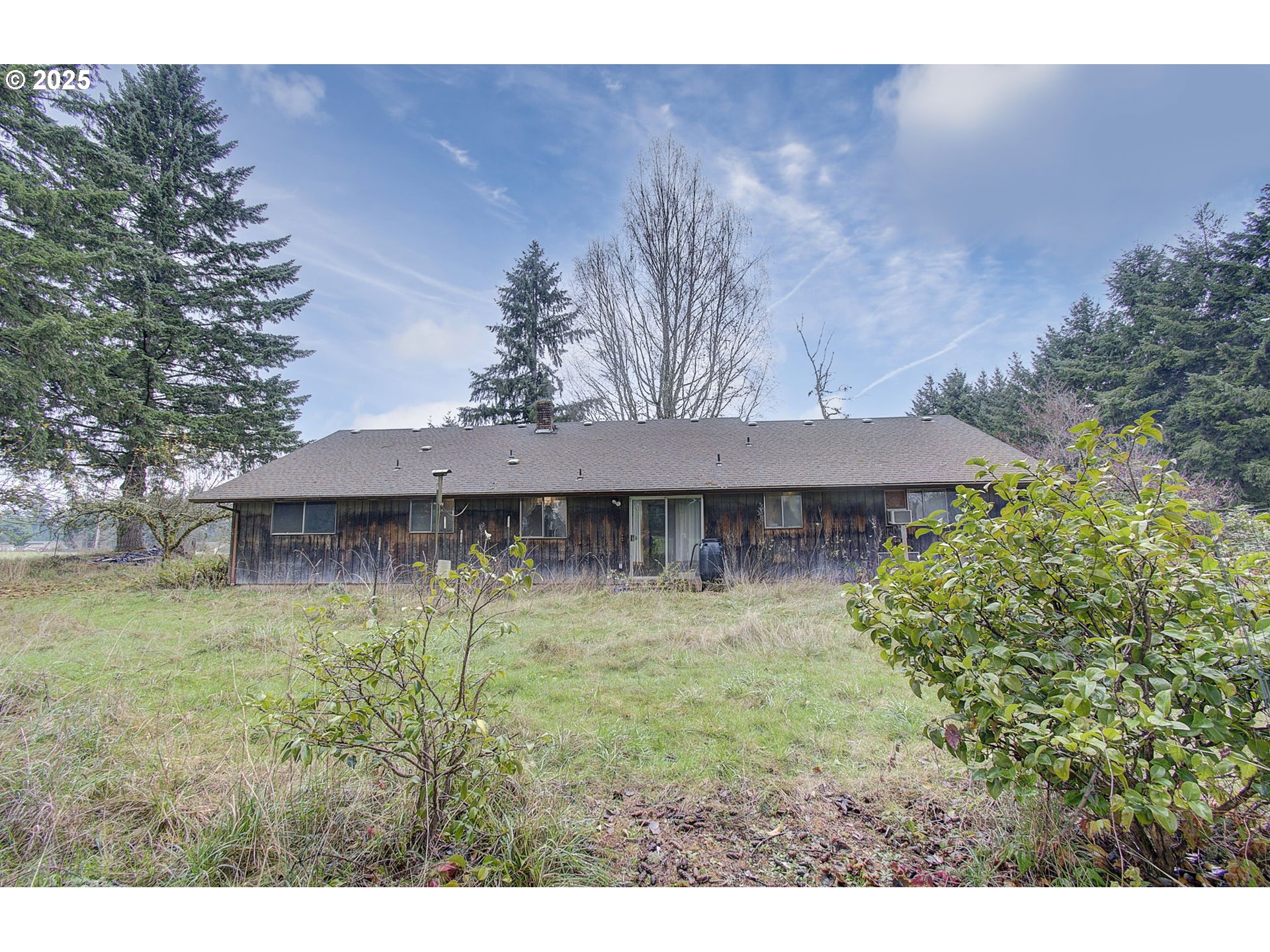 19409 Northeast Mattson Road Brush Prairie, WA 98606 - Photo 30 of 44 a view of a house with a yard and a large tree
