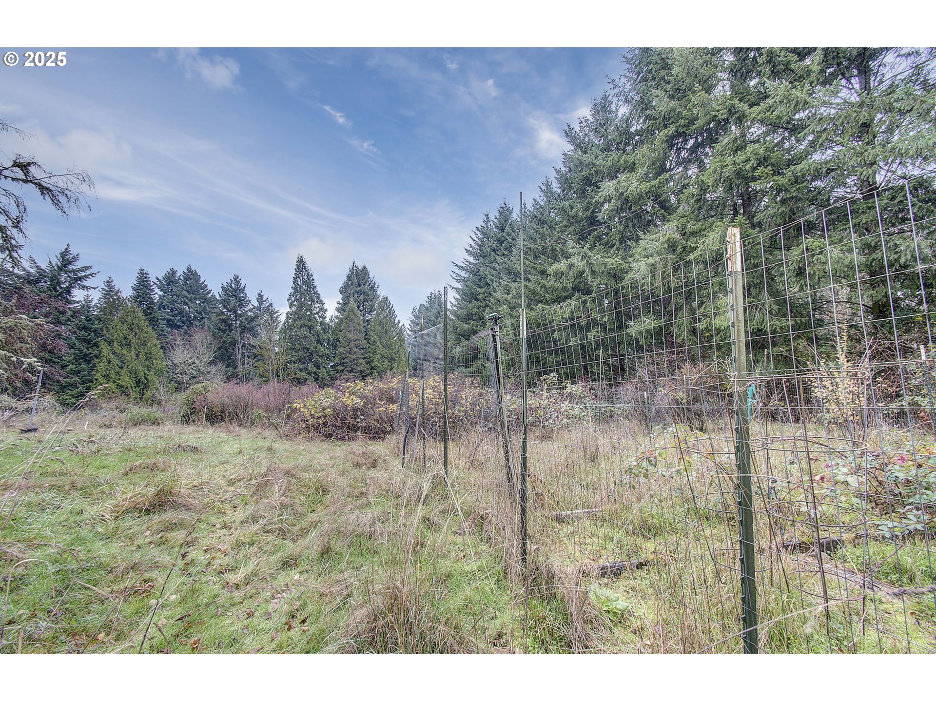 19409 Northeast Mattson Road Brush Prairie, WA 98606 - Photo 35 of 44 a view of a dry yard with trees in the background