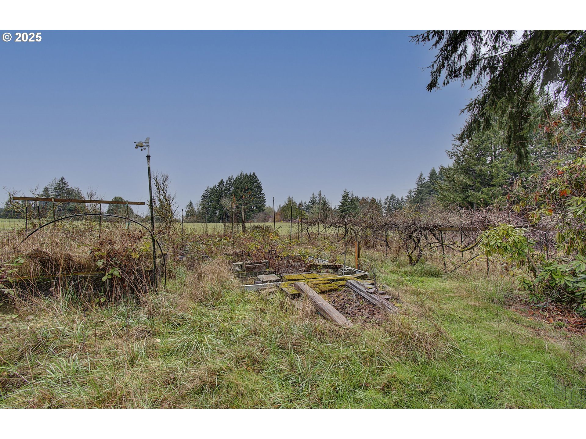 19409 Northeast Mattson Road Brush Prairie, WA 98606 - Photo 37 of 44 a view of a field with trees in the background
