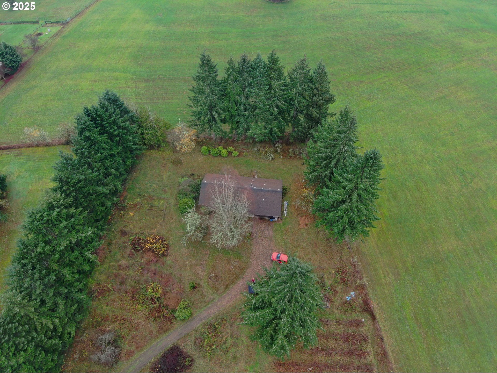 19409 Northeast Mattson Road Brush Prairie, WA 98606 - Photo 43 of 44 a picture of a yard