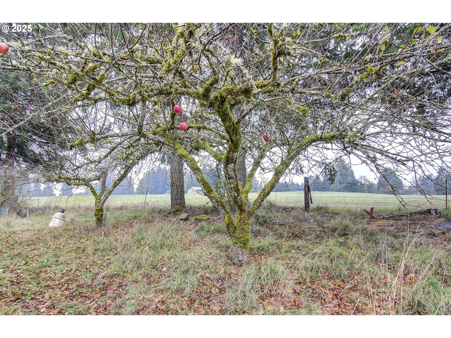 19409 Northeast Mattson Road Brush Prairie, WA 98606 - Photo 5 of 44