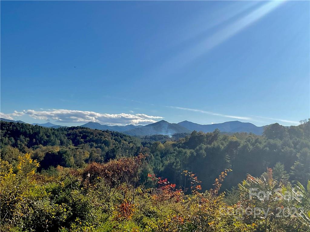 38 Little Oak Road, Unit 7 Leicester, NC 28748 - Photo 1 of 15 Gallery Image 1