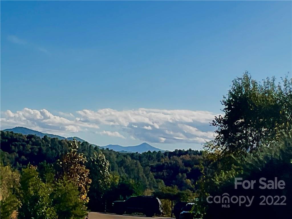 38 Little Oak Road, Unit 7 Leicester, NC 28748 - Photo 3 of 15 Gallery Image 3