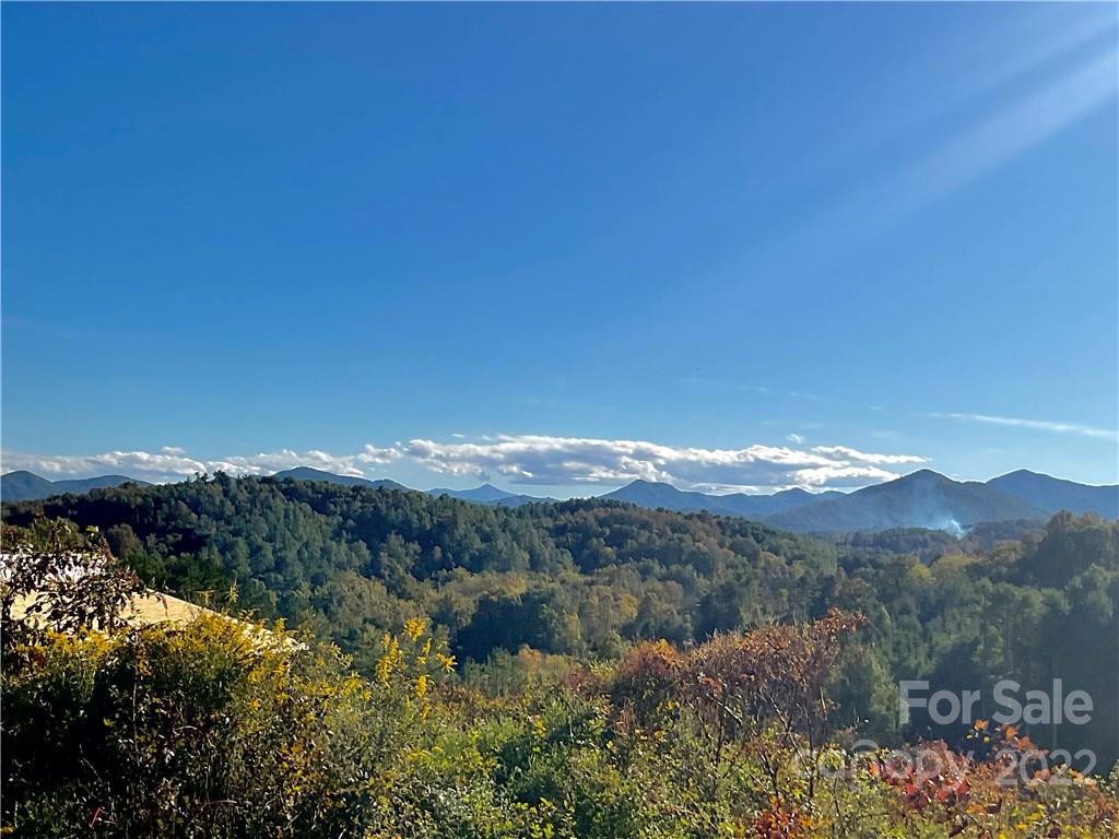 38 Little Oak Road, Unit 7 Leicester, NC 28748 - Photo 7 of 15 Gallery Image 7