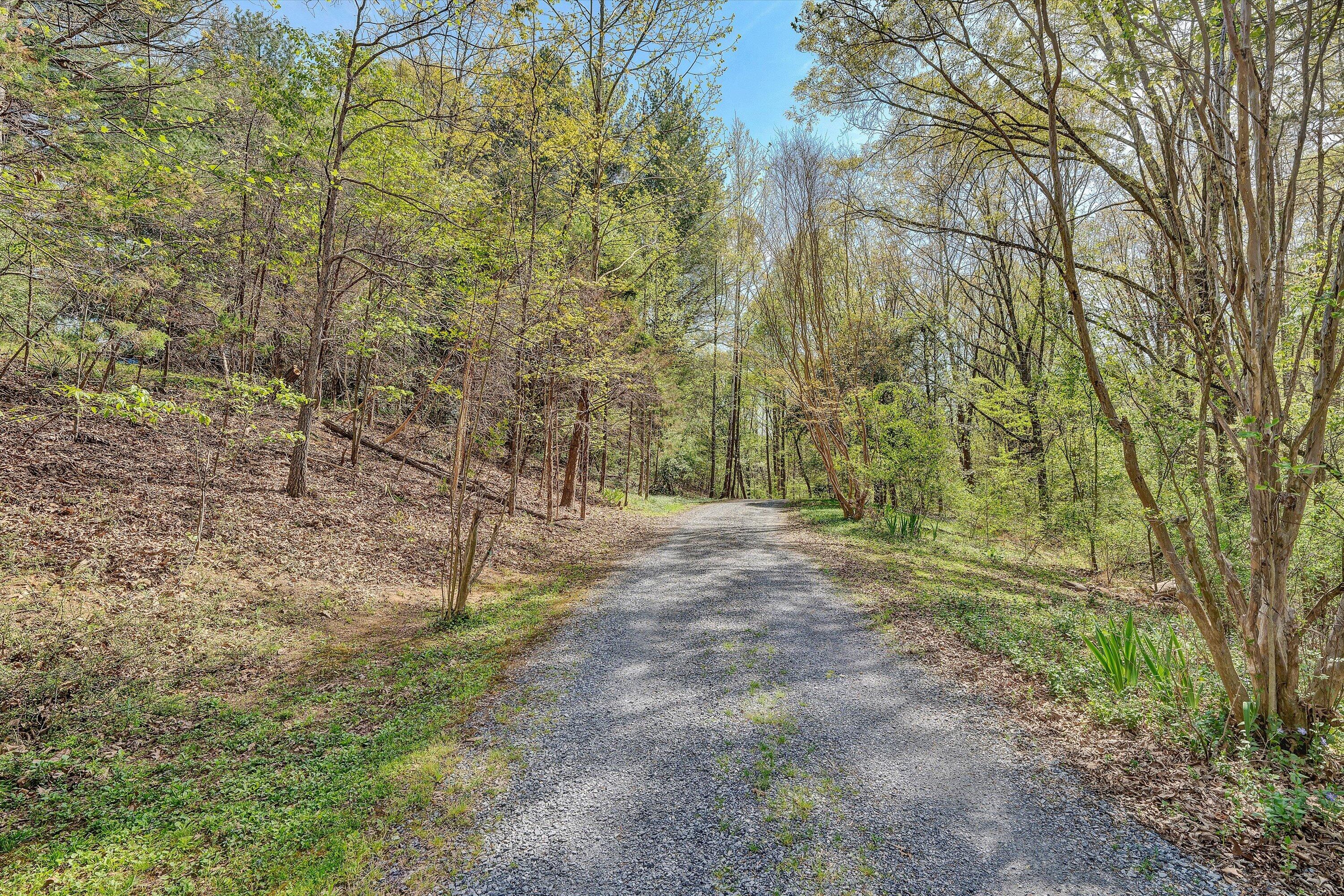 1124 Old Hollow Road Buchanan, VA 24066 - Photo 67 of 73 a view of a yard with trees