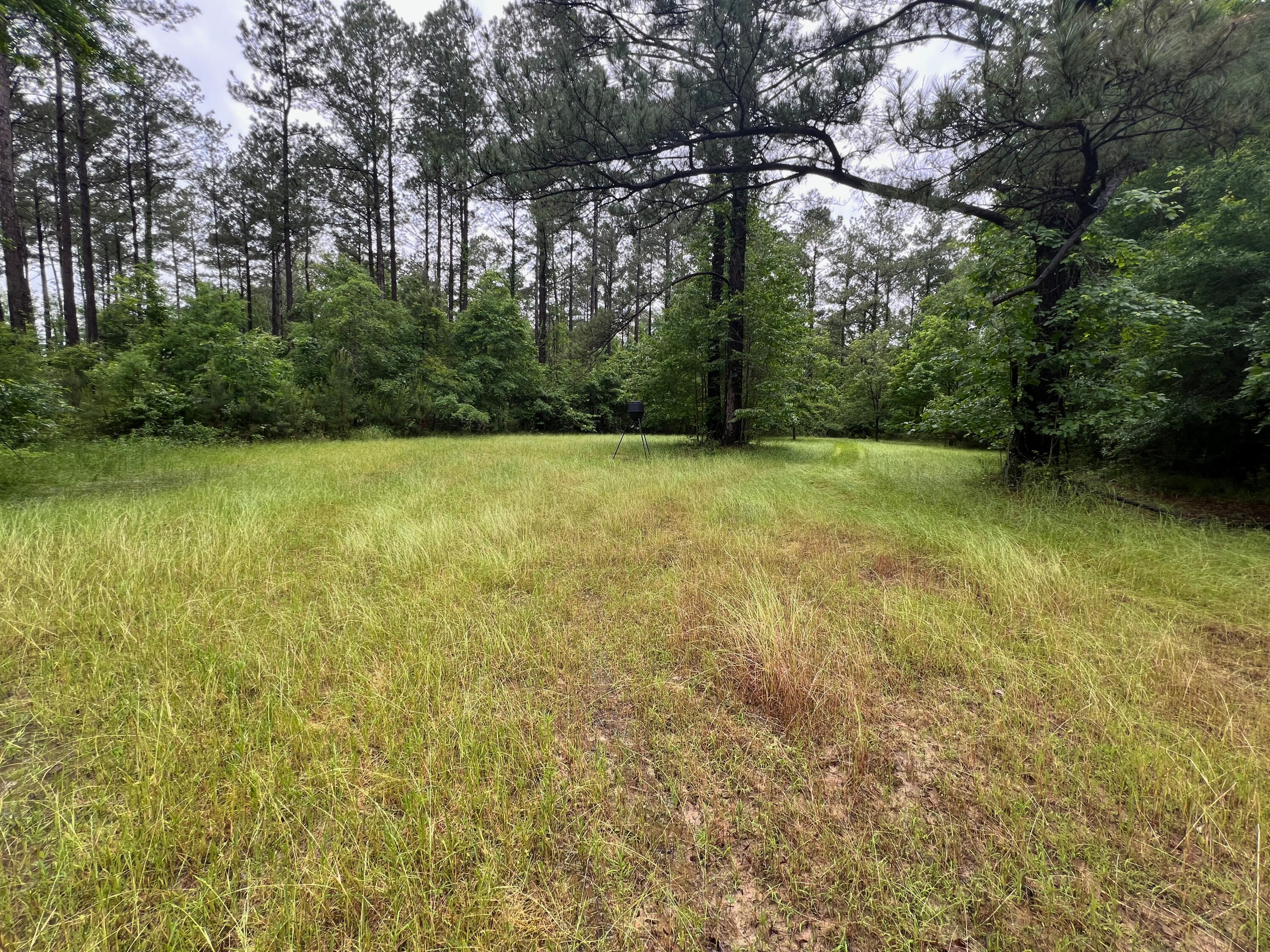 0 Co Road Shubuta, MS 39360 - Photo 19 of 19 shubuta land mls size (17 of 17)