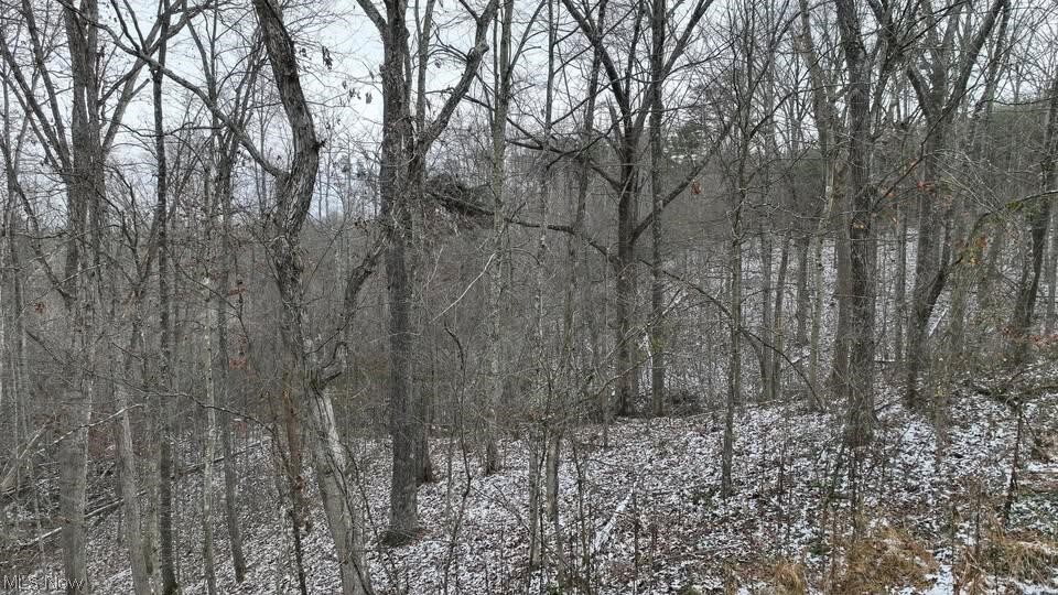 0 Holbrook Road Beaver, OH 45613 - Photo 6 of 12