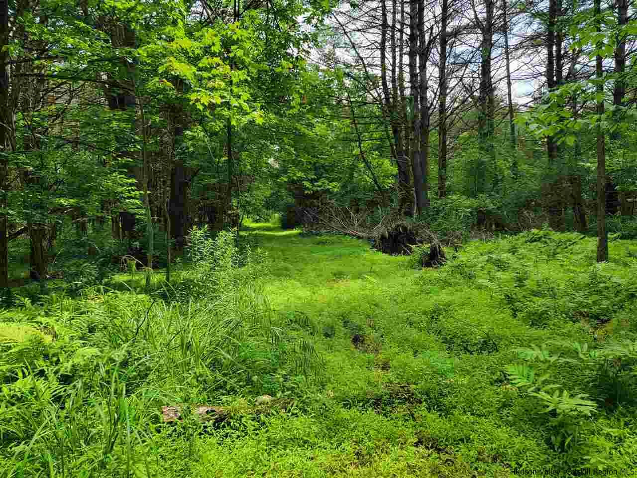 0 Off Indian Ridge Earlton, NY 12058 - Photo 3 of 8 Photo 3