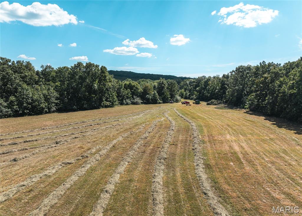 4 Buck Mountain Road Ironton, MO 63650 - Photo 21 of 27