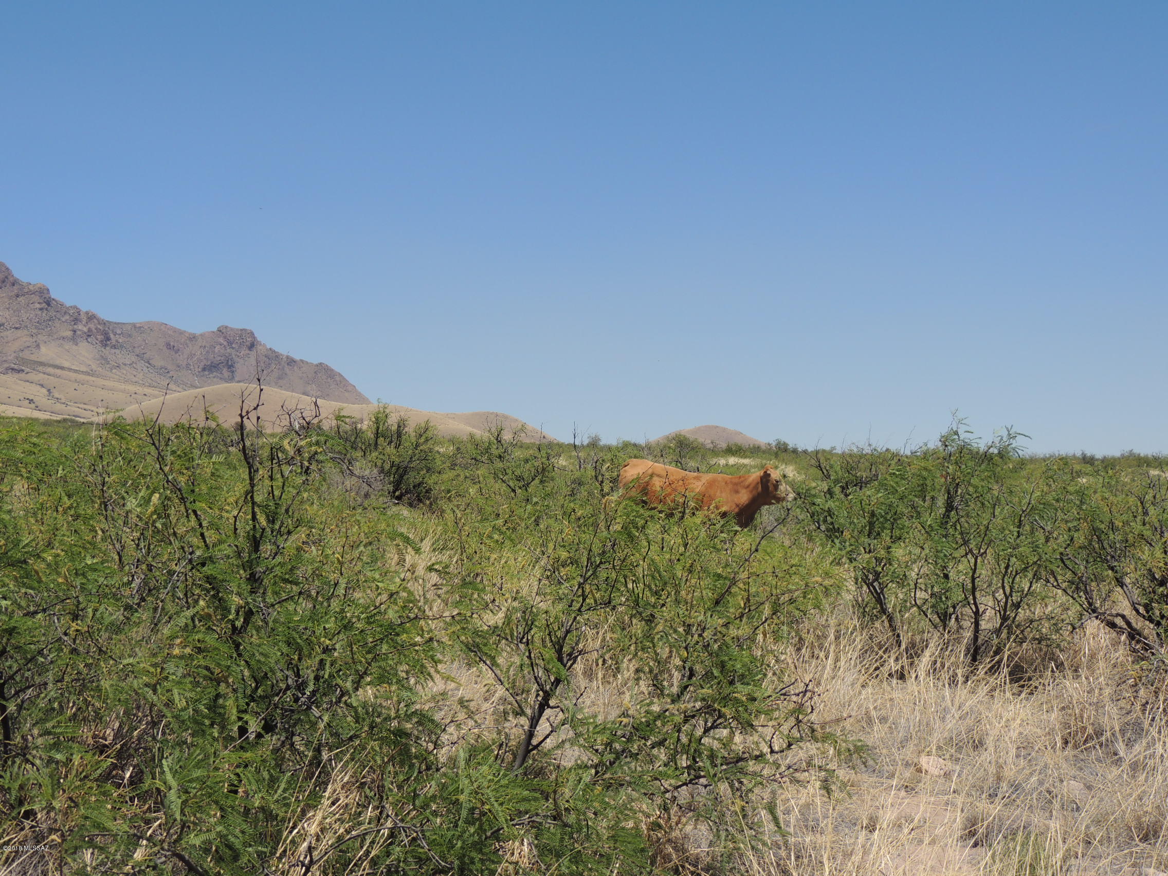 Tbd North Eagle Ridge Trail, Unit 14 San Simon, AZ 85632 - Photo 27 of 48