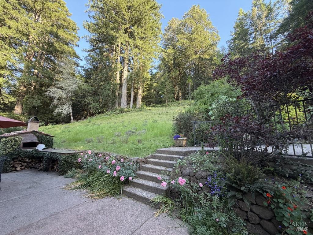 16875 Coleman Valley Road Occidental, CA 95465 - Photo 25 of 78