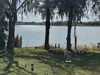 a backyard of water with palm trees