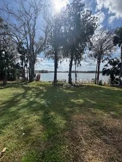 a view of a park with large trees