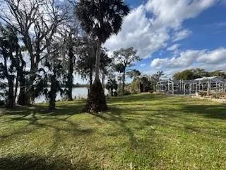 a view of a trees in a yard