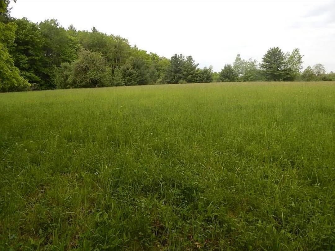 Kings Corner Road Mikado, MI 48745 - Photo 1 of 6
