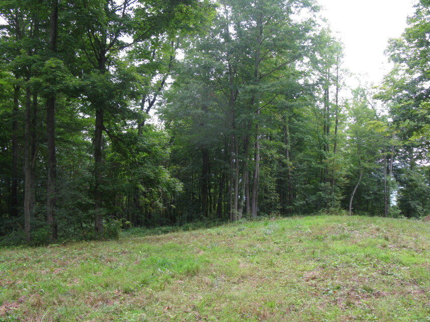 Mill Road Sandstone, WV 25985 - Photo 10 of 13 Gallery Image 10