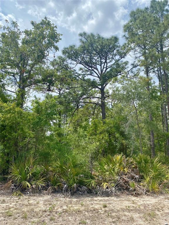 13439 Cormorant Road Brooksville, FL 34614 - Photo 2 of 2 a view of a large yard with lots of green space