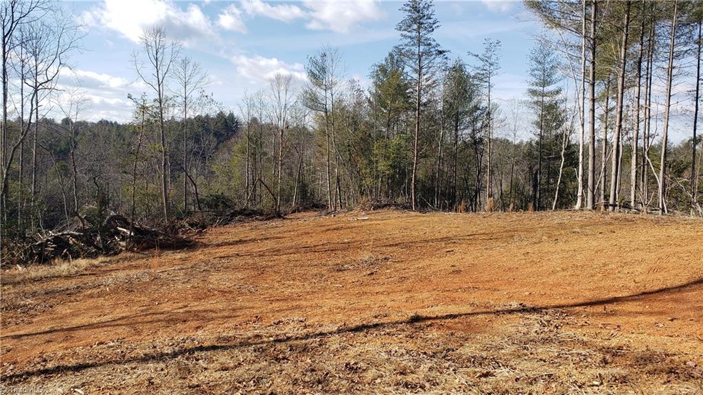 1632 Byrd Ridge Road North Wilkesboro, NC 28659 - Photo 12 of 17 Gallery Image 12