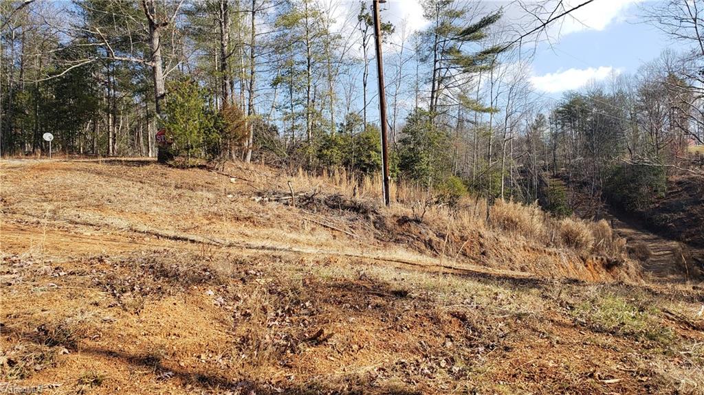 1632 Byrd Ridge Road North Wilkesboro, NC 28659 - Photo 15 of 17 Gallery Image 15