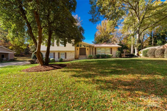 a view of a yard with plants and trees