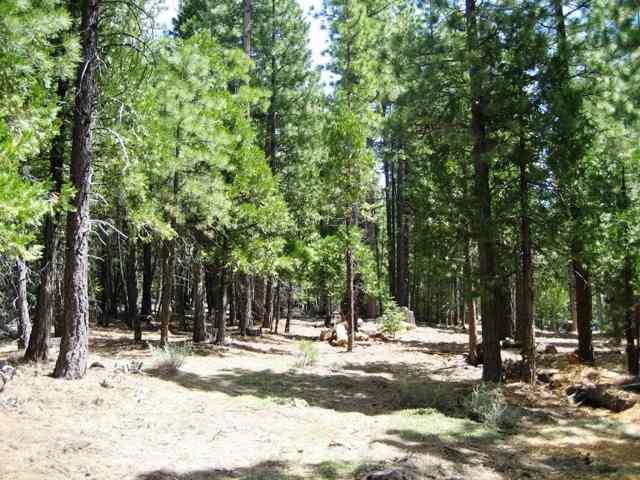 585 Sage Road Clio, CA 96106 - Photo 2 of 2
