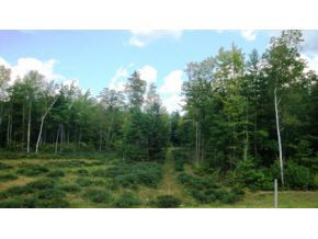 101 Falcon Ridge Road, Unit 8 Milford, NH 03055 - Photo 28 of 32