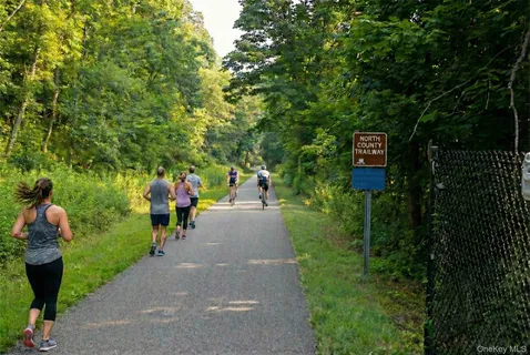 a couple of people sitting in a yard with large trees