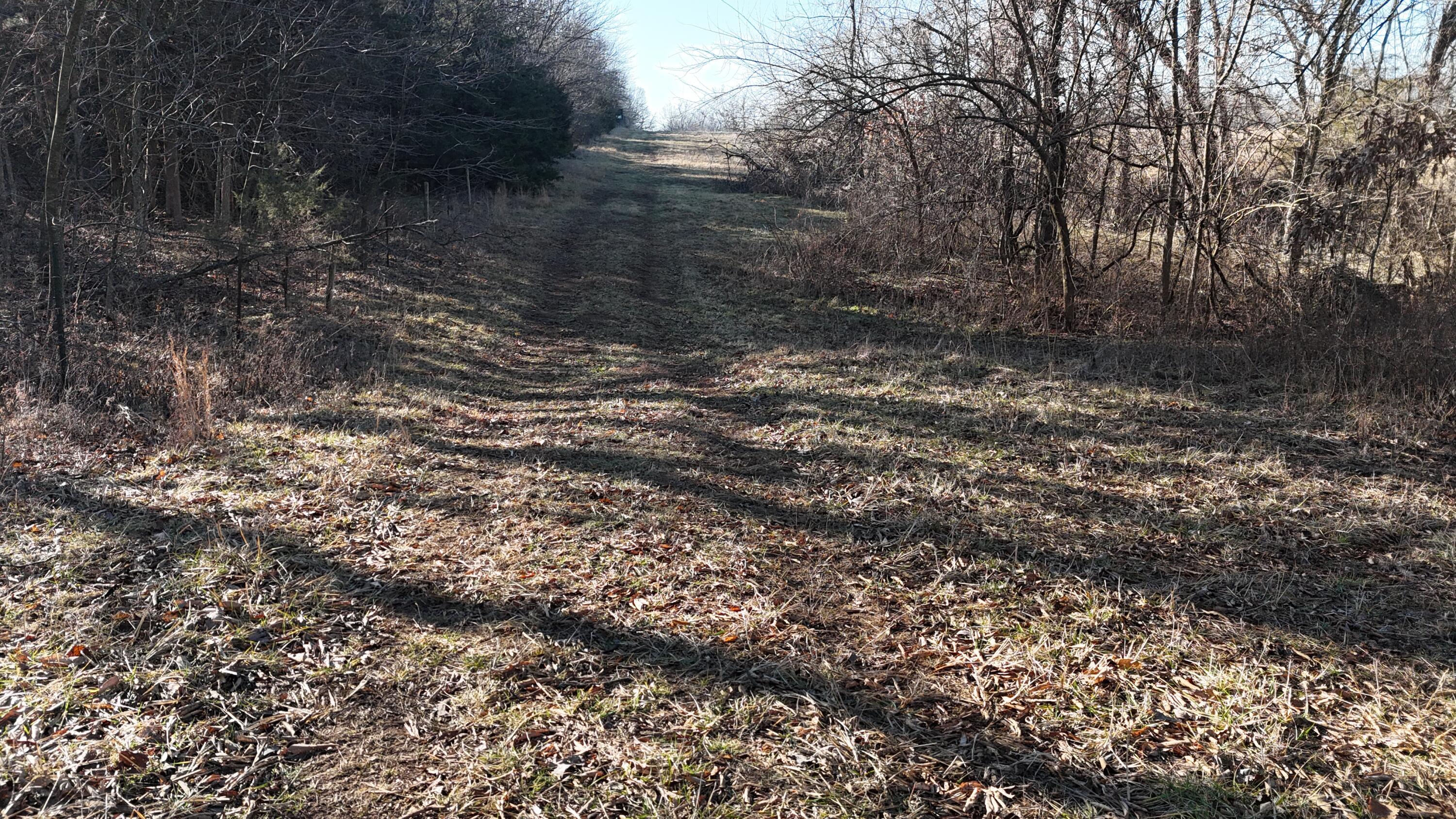 Lot 3 South 140th Road Morrisville, MO 65710 - Photo 5 of 12 DJI_20260209093401_0825_D