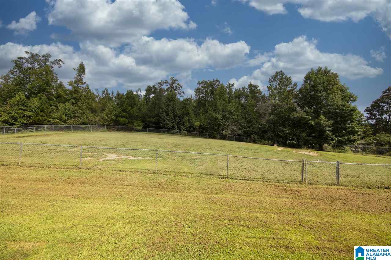 1145 Armstrong Loop Hayden, AL 35079 - Photo 9 of 43