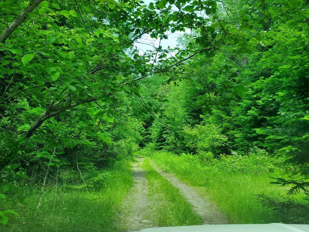 0 Morgan Road Burnham, ME 04922 - Photo 48 of 69 20250617_124422