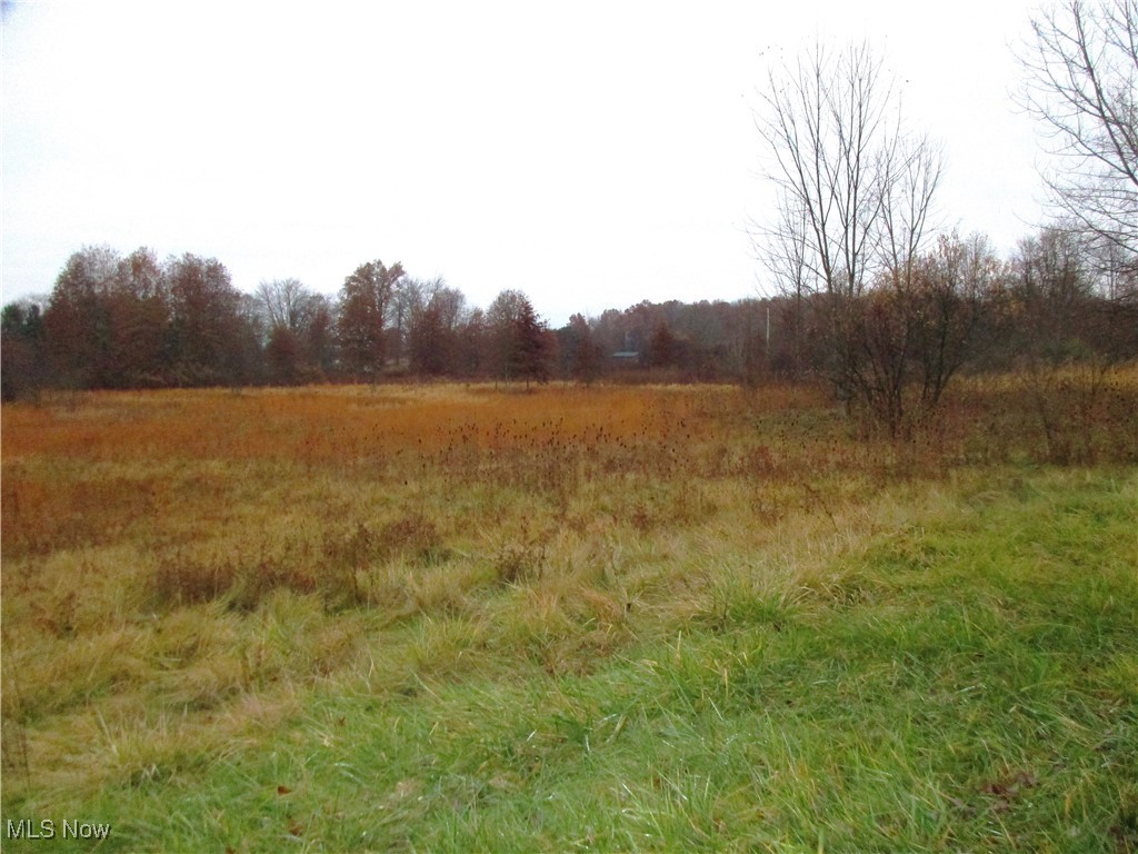 Palmyra Road Warren, OH 44481 - Photo 2 of 3