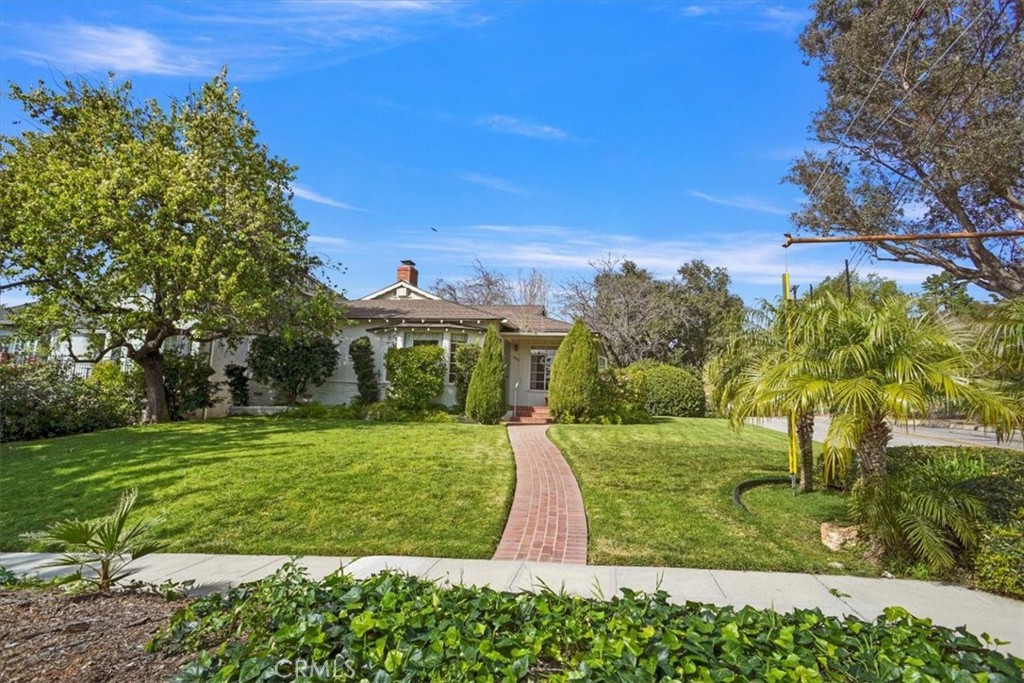 a view of a big yard with plants and large trees