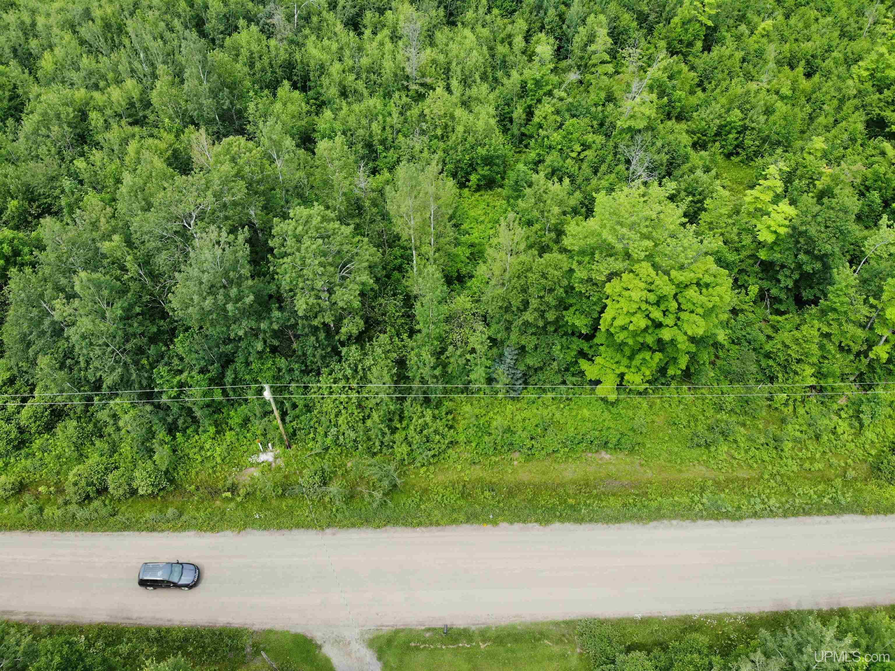 Tbd40 Karschney Road South Lanse, MI 49946 - Photo 3 of 18 Gallery Image 3