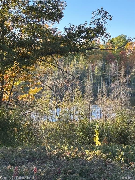 3608 South State Road Glennie, MI 48737 - Photo 14 of 42
