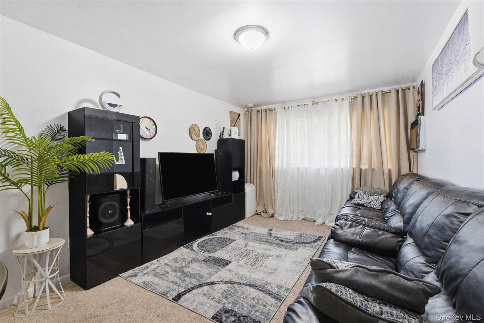 1677 Unionport Road Bronx, NY 10460 - Photo 18 of 33 Sun filled living area with carpet