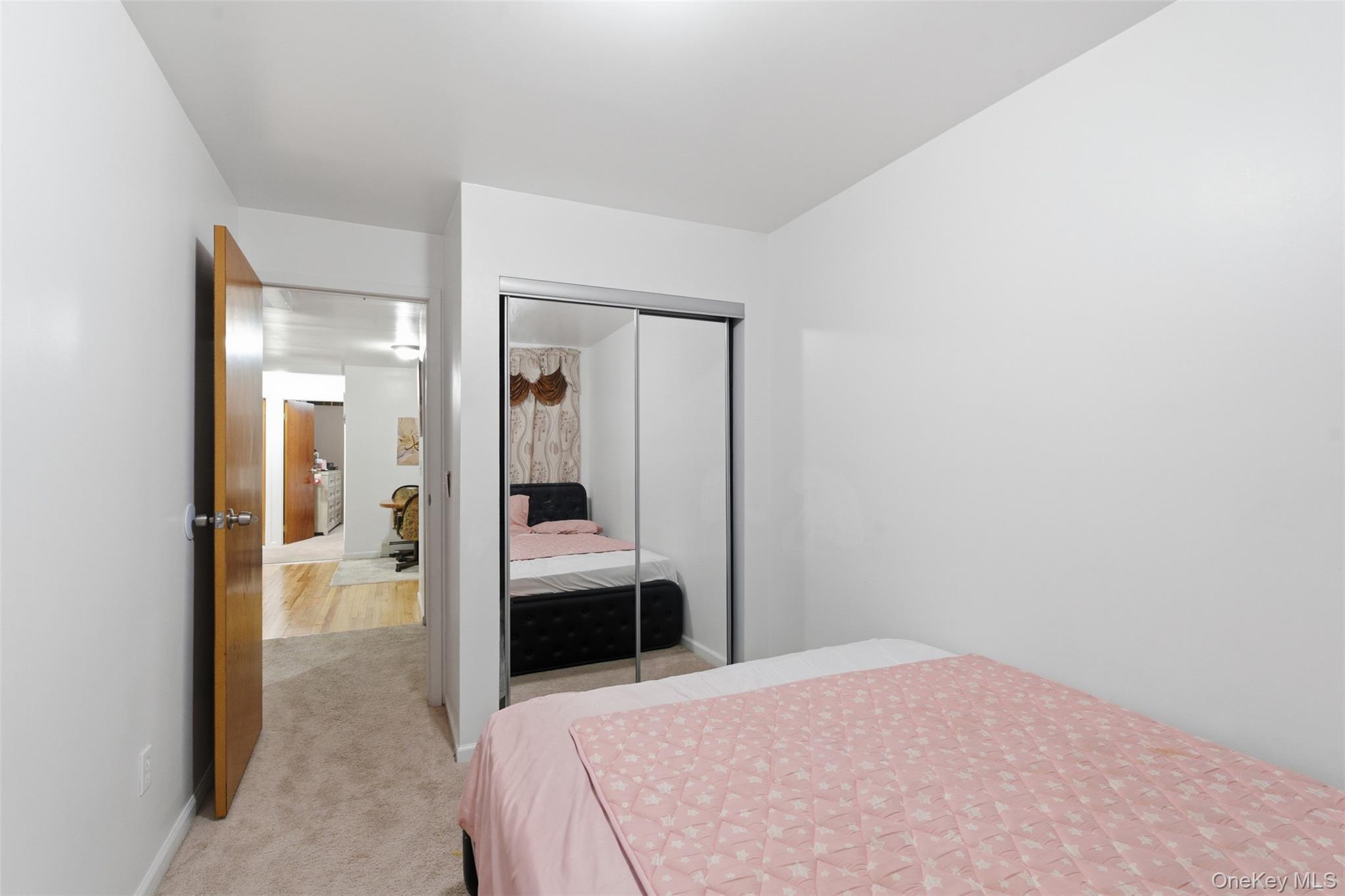 1677 Unionport Road Bronx, NY 10460 - Photo 23 of 33 Bedroom featuring light carpet and a closet