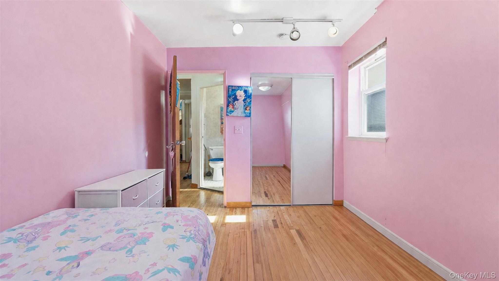1677 Unionport Road Bronx, NY 10460 - Photo 10 of 33 Bedroom with light wood-type flooring, a closet, and rail lighting