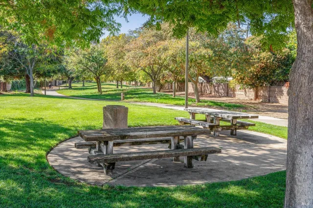 a view of a bench in a park