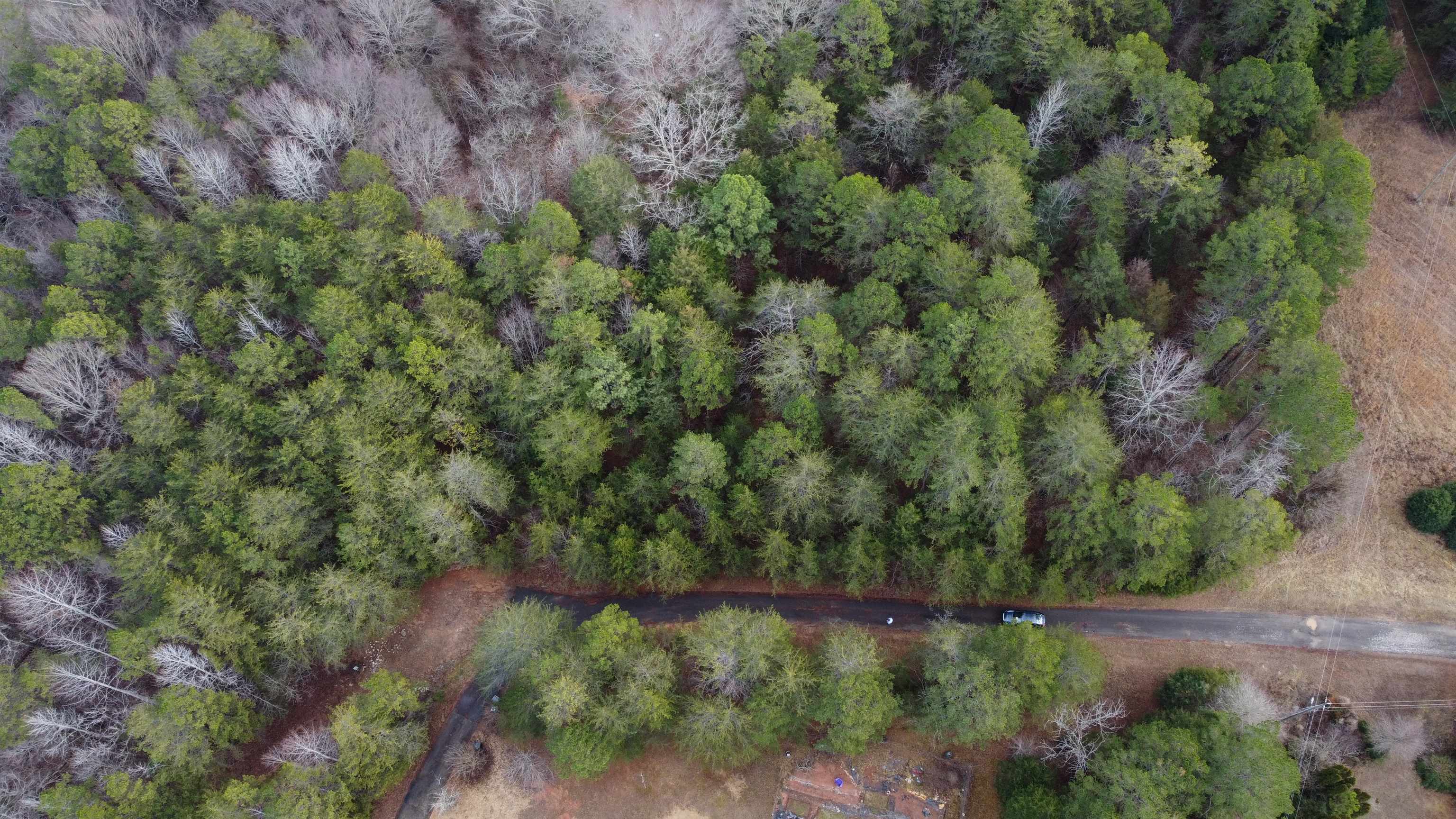297 Moore Road Spartanburg, SC 29302 - Photo 11 of 12