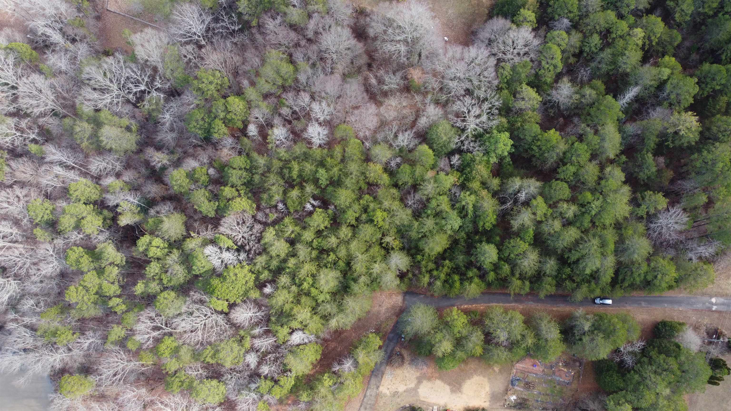 297 Moore Road Spartanburg, SC 29302 - Photo 6 of 12
