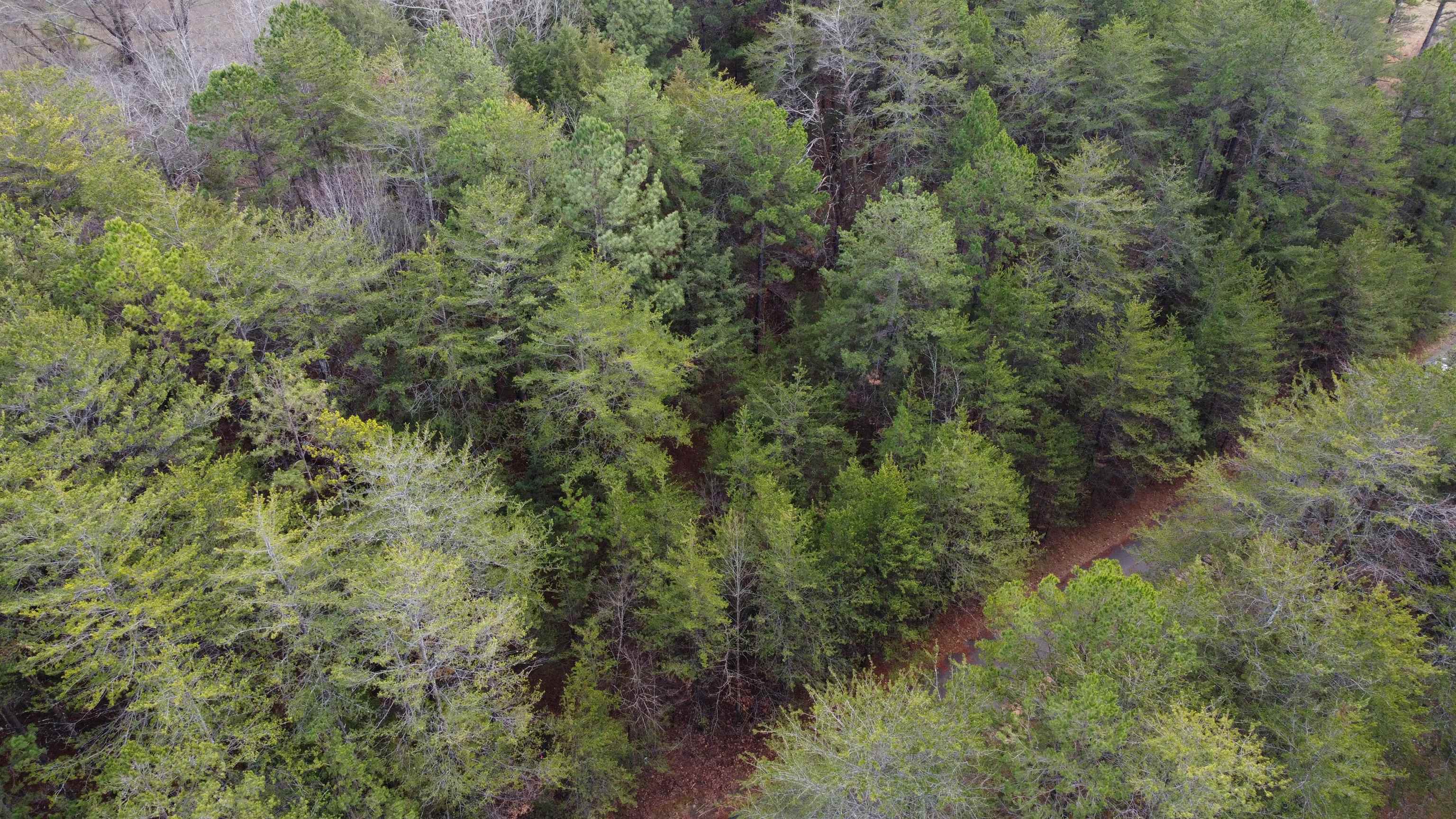 297 Moore Road Spartanburg, SC 29302 - Photo 10 of 12