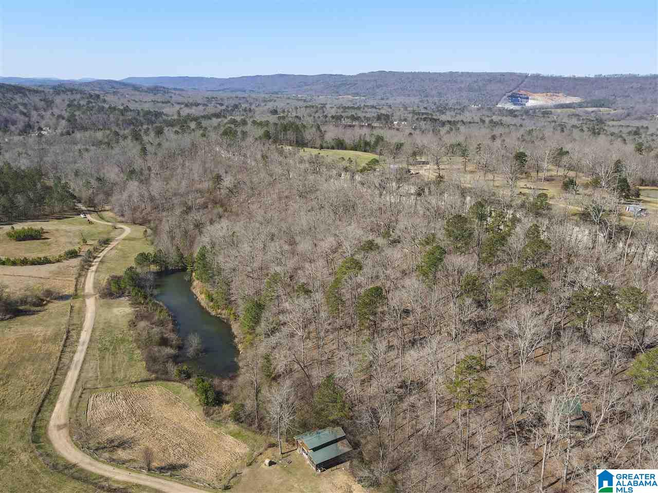 39080 Highway 231 Steele, AL 35987 - Photo 30 of 37