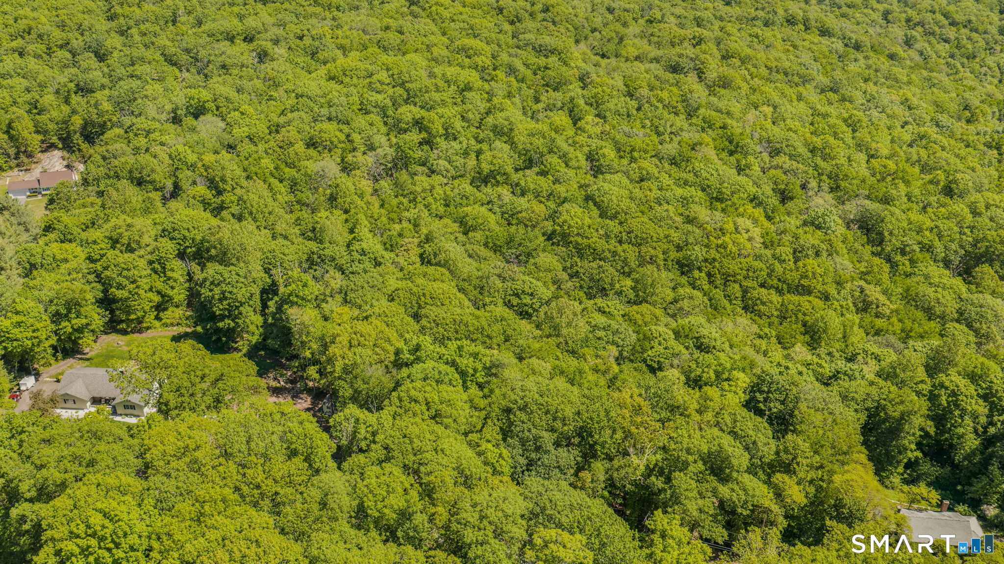 Lot10-b1 Foot Hills Road Higganum, CT 06441 - Photo 28 of 33 a view of a big yard with plants and large trees