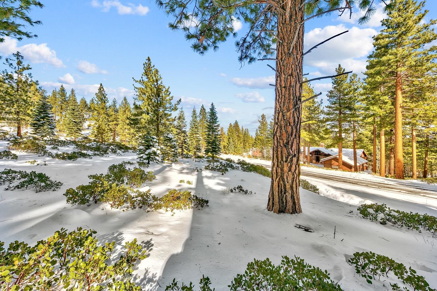 135 West Jeffrey Pine Road Reno, NV 89511 - Photo 11 of 21 Gallery Image 11